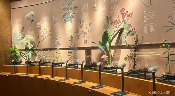 广州市雪蕾香氛博物馆