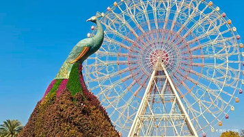 七彩云南欢乐世界-四季花海