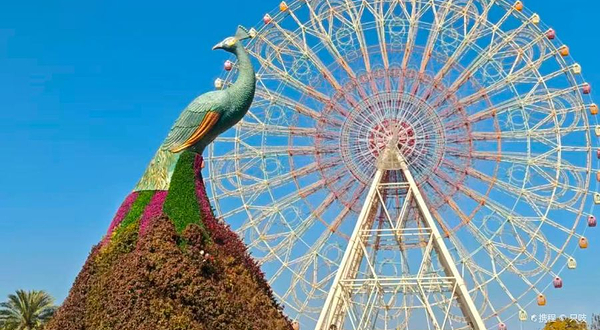 七彩云南欢乐世界-四季花海