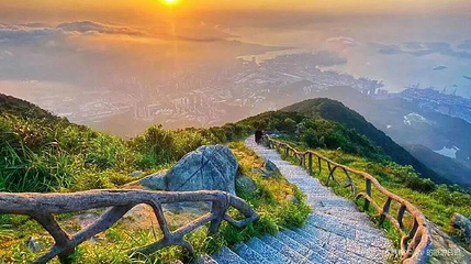 梧桐山风景名胜区-秀桐道第 1 张图片