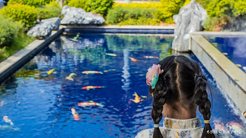 中国仙游沉香博物馆