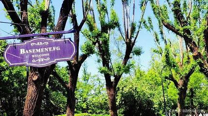 京顺园公园第 1 张图片