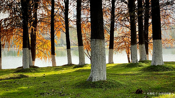 孔目江国家湿地公园