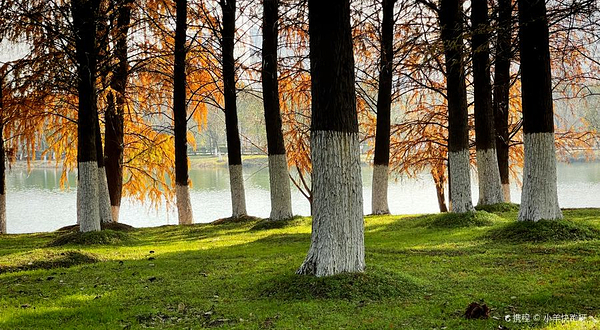 孔目江国家湿地公园