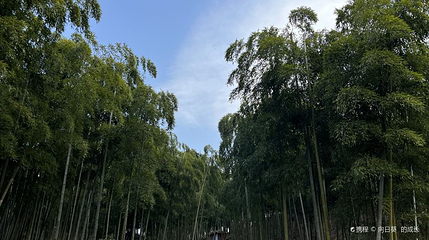 王位山古道第 1 张图片