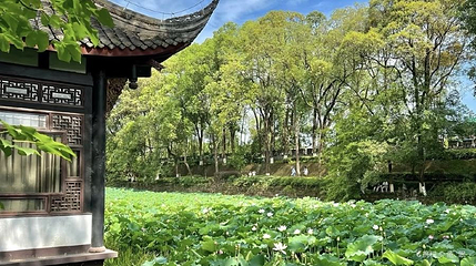 杨升庵祠及桂湖第 1 张图片