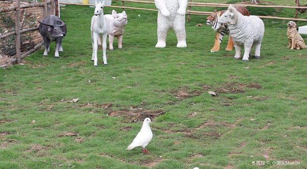 奇门生态乐园·露营·亲子·团建·聚会·派对·户外烧烤(番禺店)