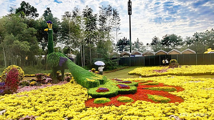 义乌植物园第 1 张图片