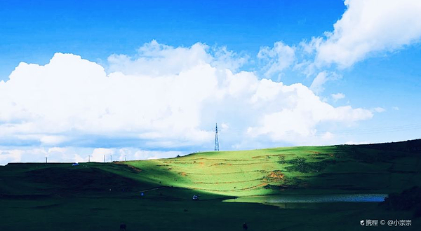 黑巴草场