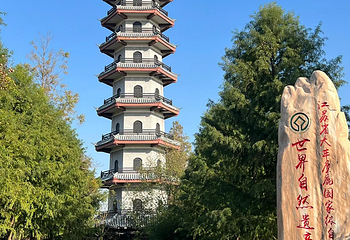 中华麋鹿园第 117 张图片