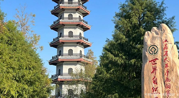 江苏大丰麋鹿国家级自然保护区