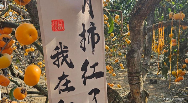 中国柿子博览园