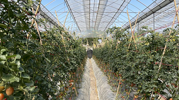 水乡果岛亲子庄园