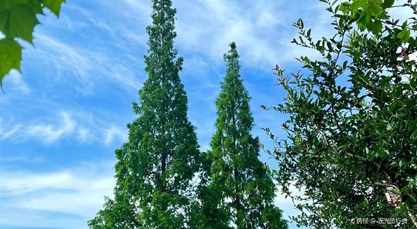 双流区中心公园