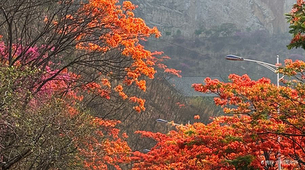 西佛山景区第 1 张图片