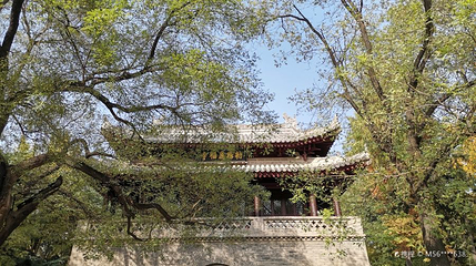 荐福寺第 1 张图片