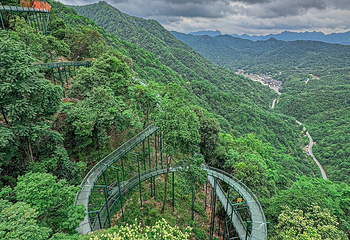 米仓山国家森林公园第 71 张图片
