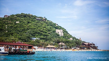 分界洲岛景区-珊瑚区