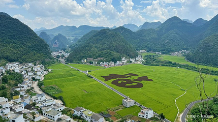 万峰林福字田第 1 张图片