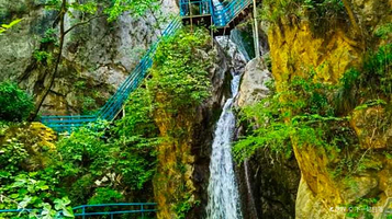 天宇红豆杉景区