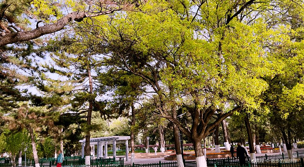 张家口市人民公园