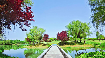 沣河梁家滩运动公园