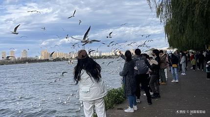 坝河湿地第 1 张图片