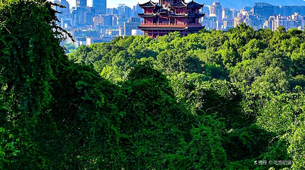 吴山景区第 1 张图片