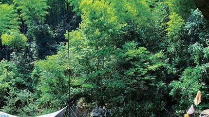 大鱼线水上乐园第 1 张图片
