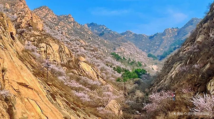 卢家峪五盆沟第 1 张图片