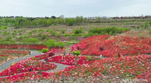 無比方花园景区