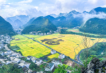 万峰林景区第 146 张图片