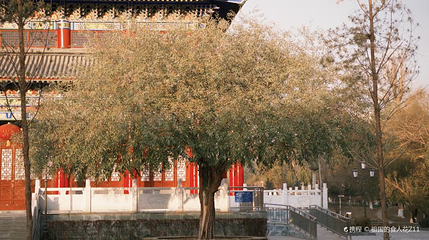 左公文化苑第 1 张图片