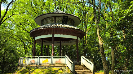 仙楼山森林公园第 1 张图片