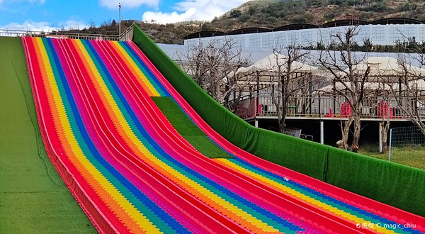 昆明万溪冲梨园