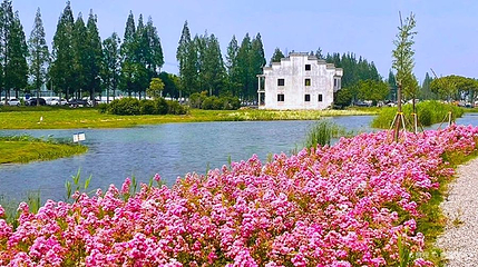 大圩生态农业旅游景区第 1 张图片