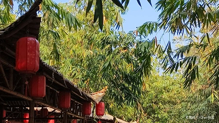 竹笋文化园第 1 张图片