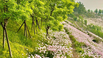 竹溪河湿地公园