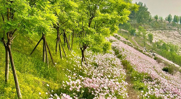 竹溪河湿地公园