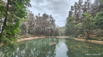 白塔坪森林公园