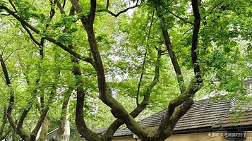 颐和路20号民国建筑