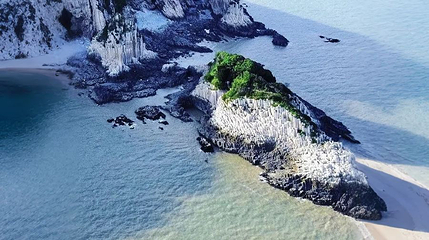 古樟沙滩第 1 张图片