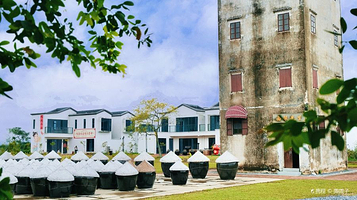 海农岛咖啡庄园