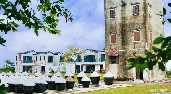 海农岛咖啡庄园