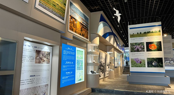 达里诺尔湖博物馆