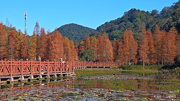 石门国家森林公园-红叶观赏区