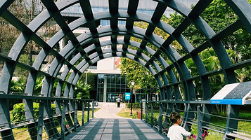 坪山区中心公园