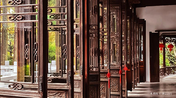 上海植物园-兰室