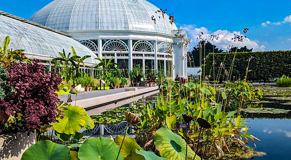 纽约植物园