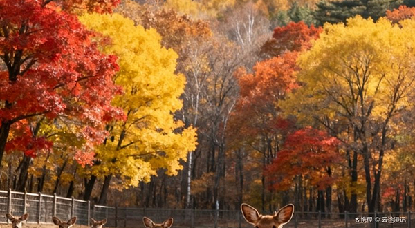 辽源市动植物园